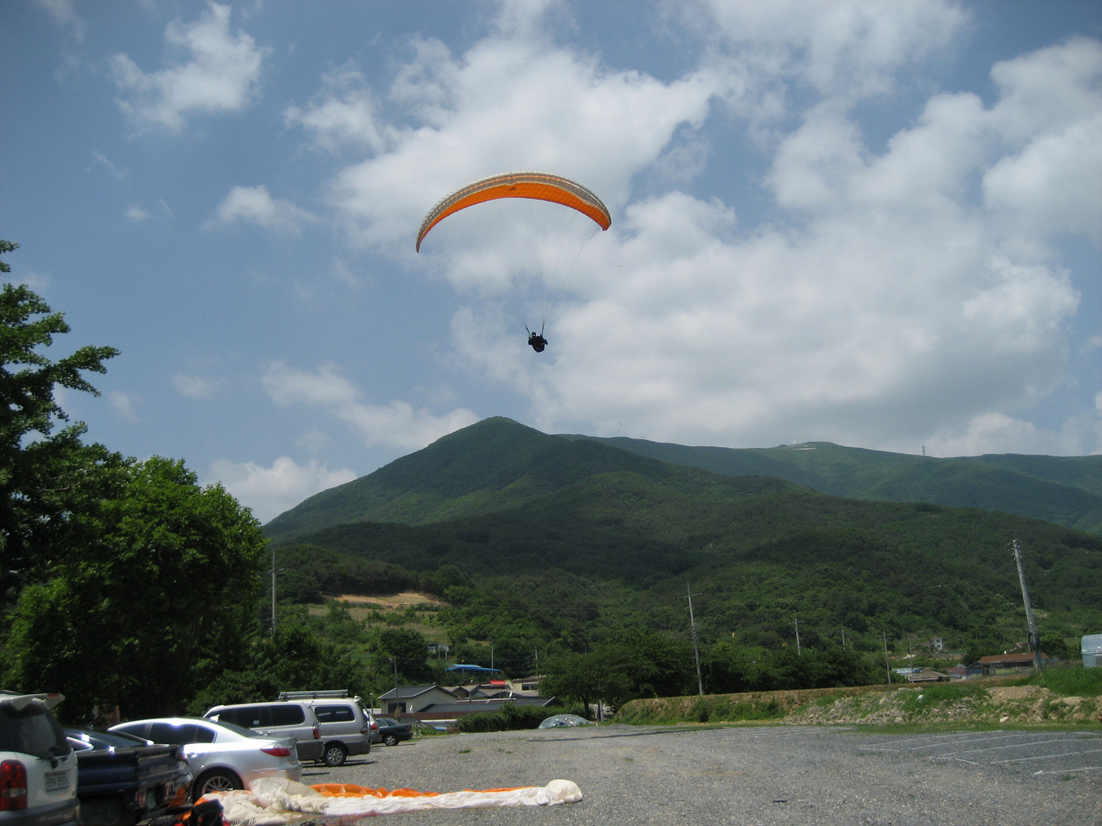 IMG_1517.jpg
